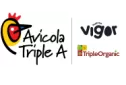 logo corporativo