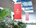 logo corporativo