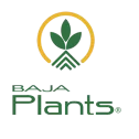 logo corporativo