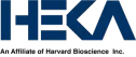 logo corporativo
