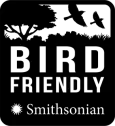 logo corporativo