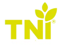 logo corporativo