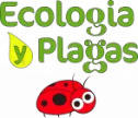 logo corporativo