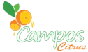 logo corporativo