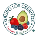 logo corporativo