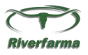 logo corporativo