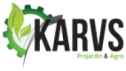 logo corporativo