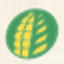 logo corporativo